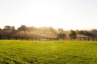 Hahndorf Farm Barn - 7