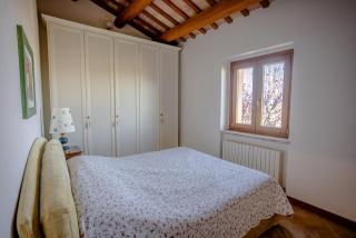 IMMERSA NEL VERDE - 3