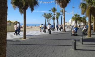 Apartamento REX - Benidorm - 7