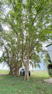 Casablanca , Casa de Campo - 4