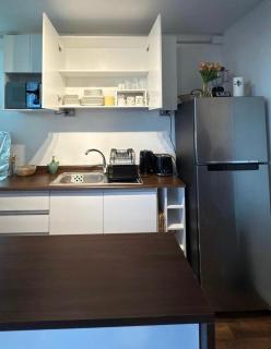 Depto céntrico cercano al lago con vista al volcán - 5