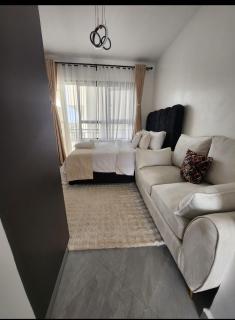 Studio Apartment near UN Gigiri and US Embassy village market - 8