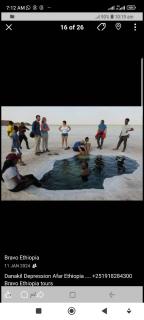 PALM PALACE Best BUDGET HOTEL & TOUR Options s - 1