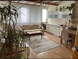 Apartment ne qender te Pejes - 6