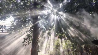 vishranti homestayy - 4