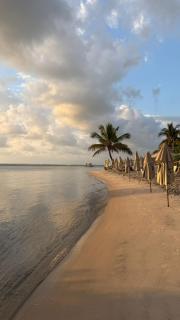 Porto 2 Life Resort - 1