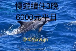 宜蘭頭城A Happy Birthday 私人溫泉 海景 蘭陽夜景大陽台無邊際泳池 - 9