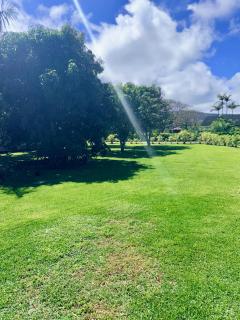 Coral Wave Cottage - 5