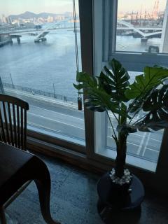 bella 프론트오션뷰 - 4