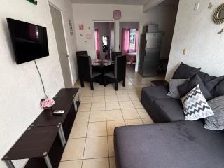 Depto Princesa Acapulco - 8