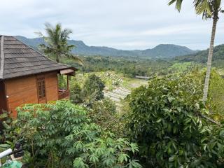 Villas Ume Sedani - 1