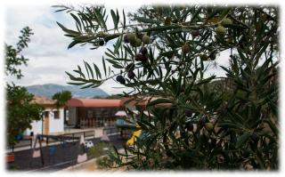 Hostal- Restaurante Estación Vía Verde - Olvera - 1