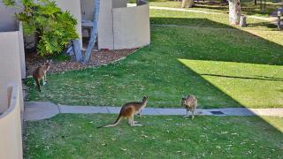 Riverview Holiday Apartment 90 - 1st Floor - Kalbarri WA - 1