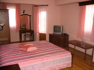 Hotel Izvora - Kranewo - 3