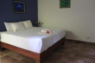 La Posada Jungle Hotel - 4