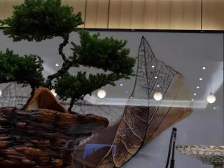 GreenTree Inn Express Datong High-Speed Railway Station Old City Wall - 1