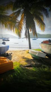 Location Marigot - Terre-de-Haut - 9