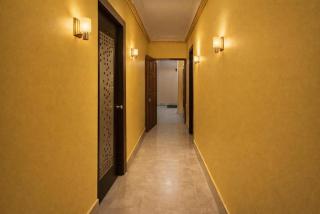 Collection O Yellow Rose - 1