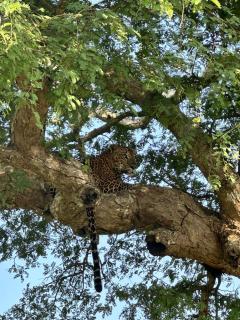 7 Day Resort - Arugam Bay - 7