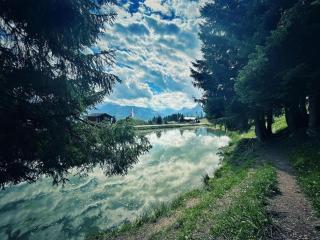 Chalet in Sankt Gallenkirch near Ski Bus - 4