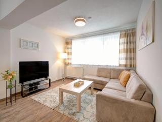 Wildschönau Ski-In Brunner Apartment - 0