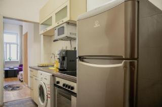 Modern 2BR Apt Close to Millennium Tower Districts - 7