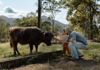 Luxe Farmstay, Main House and Brand New Tiny Home, Animals and Views! - Obi Obi - 1