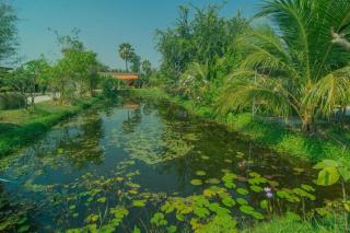 OYO 527 Tanfa Resort - 2