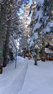 Karinna Orman Evleri - 8