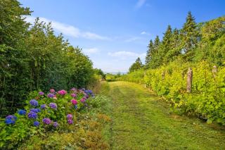 Holiday Home Røndegaard - Main House - 3
