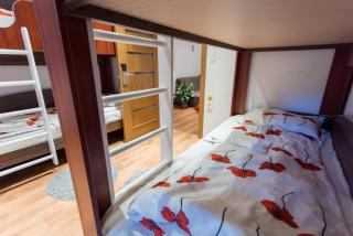 Green Hostel - Sfântu-Gheorghe - 9