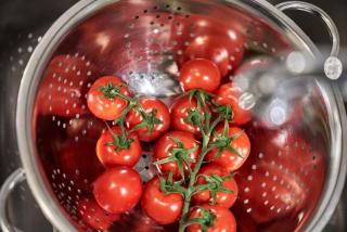 Scharhörn-Riff - 16 - 5