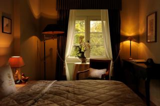 Schlosshotel Burg Schlitz - 8