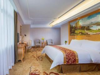 Vienna Hotel Shenzhen Longgang Dayun Center Branch - 3