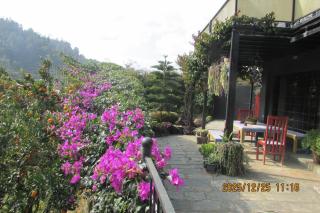 Big J's Farmhouse - 4