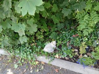 Westport Riverlane Appt - 2