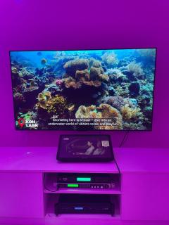 Luxury Pool Villa - Water Slide, Karaoke, Bilard, PS5, Smart TVs, Parking, Close to City Center - 5