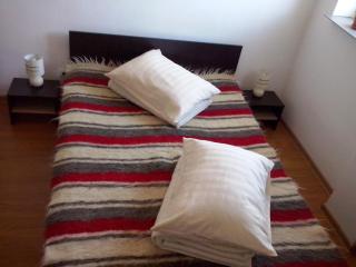 Timeea`s Home - Sibiu - 0