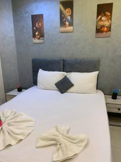 Garden-city palace hotel - 5