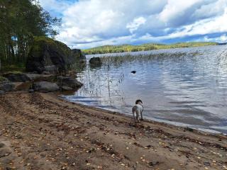 Beautiful Cottage at Lake Saimaa - 6