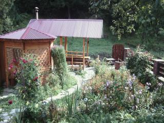 Sadyba Karpaty - Mykulychyn - 1