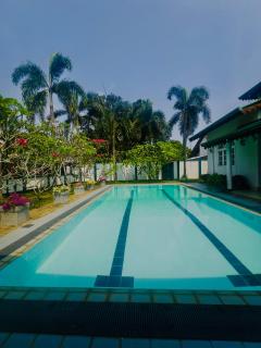 Eco Villa Resort - 5