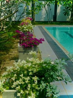 Eco Villa Resort - 6