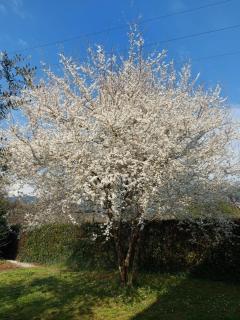 Appartamento Oliver - 9