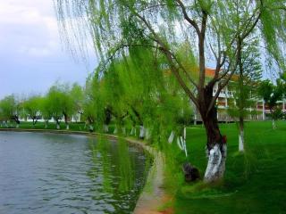 Kunming Dianchi Garden Hotel & Spa - 5