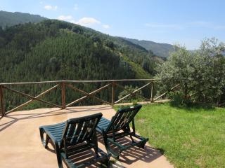 Casa das Oliveiras - Colmeal - 2