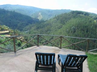 Casa das Oliveiras - Colmeal - 1