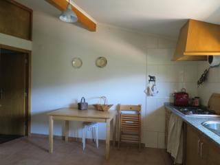 Casa das Oliveiras - Colmeal - 3