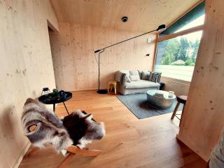 Rausblick Cabin - 9