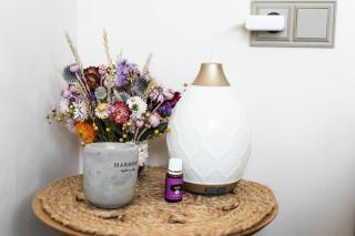 Kurbada Loft cozy stay in Riga center - 5